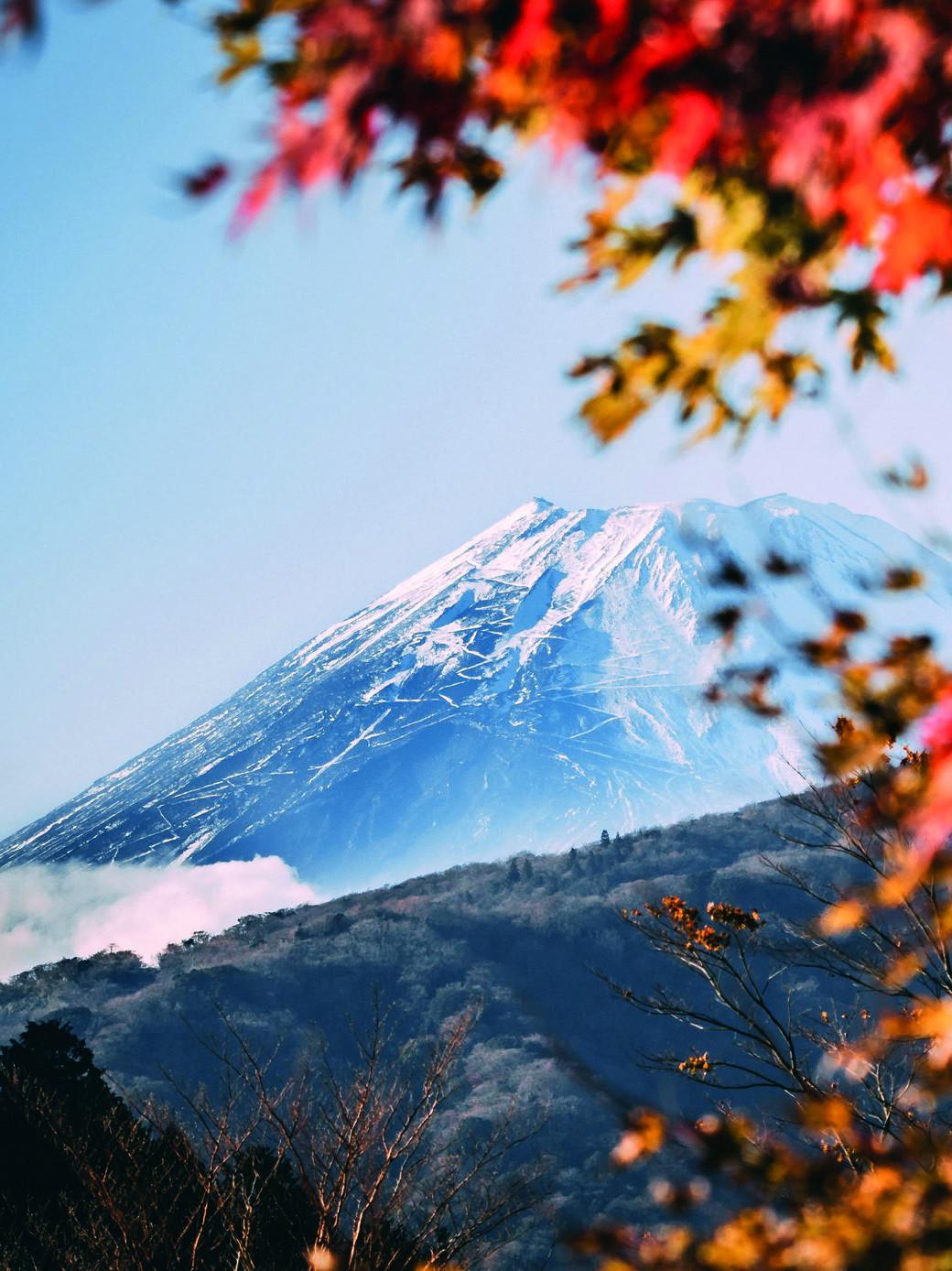 Takasago, Nature at Heart since 1920 Takasago International Corporation